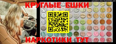 СК Кунгур